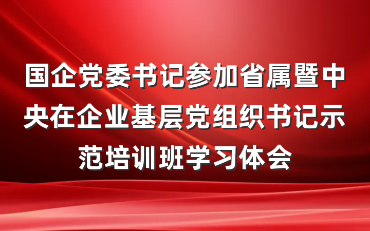 国企党委书记参加省属暨中央在企业基层党组织书记示范培训班学习体会