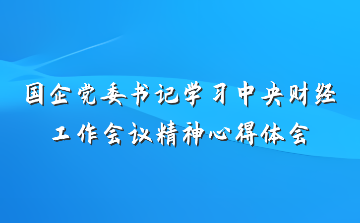 国企党委书记学习中央财经工作会议精神心得体会