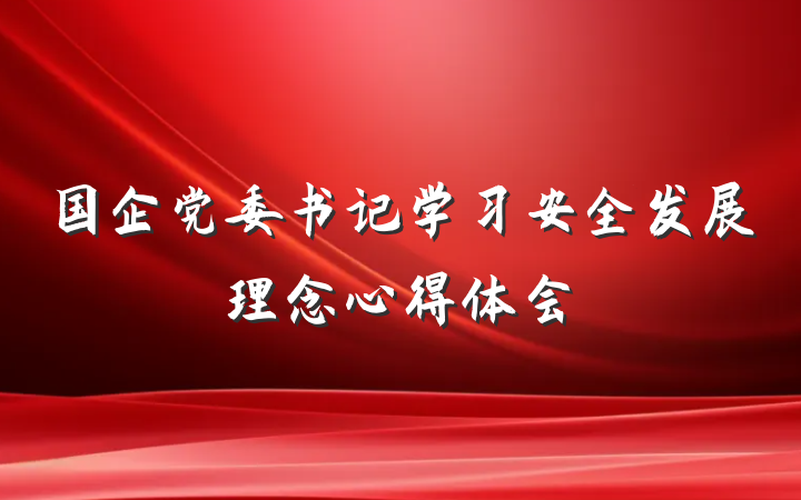 国企党委书记学习安全发展理念心得体会