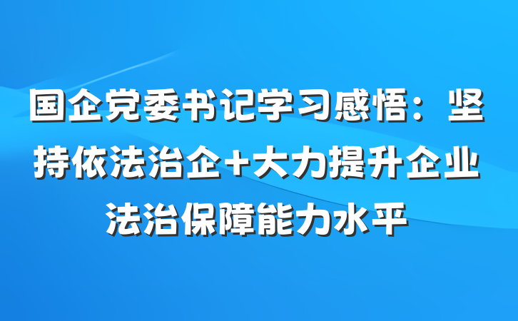 国企党委书记学习感悟：坚持依法治企 大力提升企业法治保障能力水平