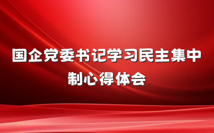 国企党委书记学习民主集中制心得体会