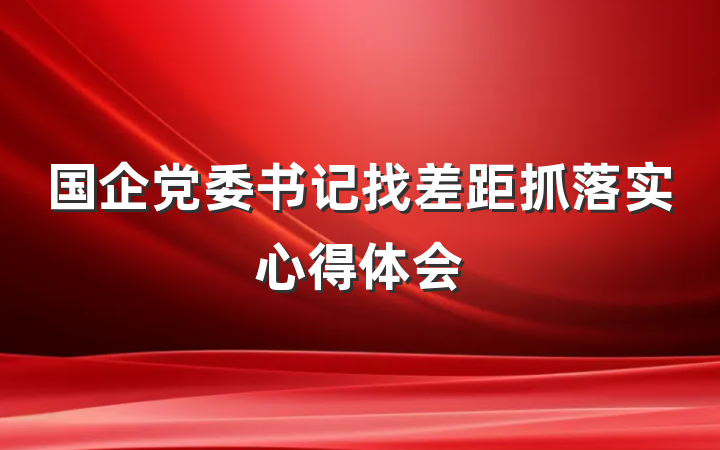 国企党委书记找差距抓落实心得体会