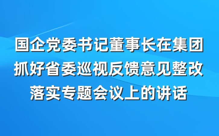 国企党委书记董事长在集团抓好省委巡视反馈意见整改落实专题会议上的讲话