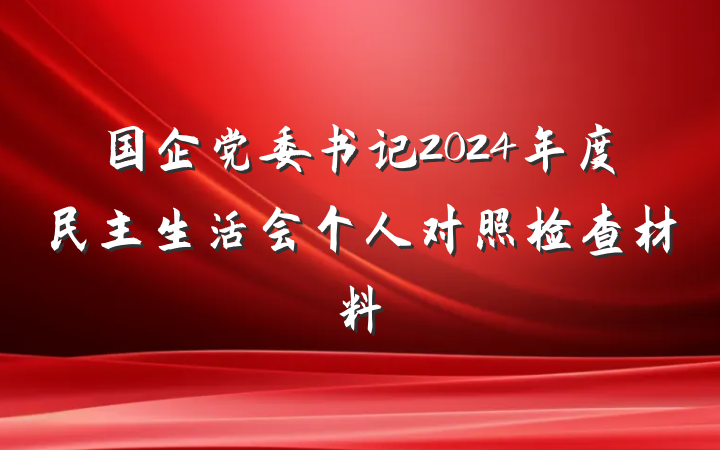 国企党委书记2024年度民主生活会个人对照检查材料