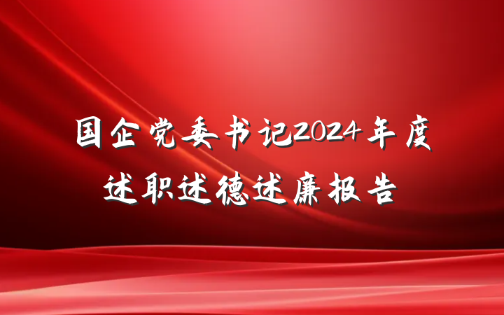 国企党委书记2024年度述职述德述廉报告