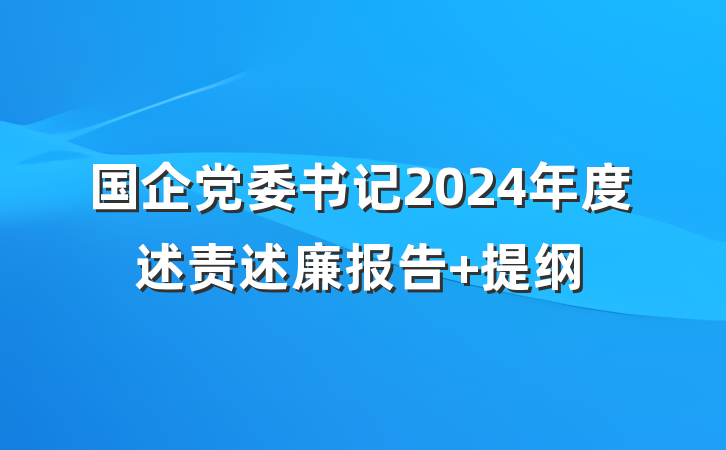 国企党委书记2024年度述责述廉报告 提纲