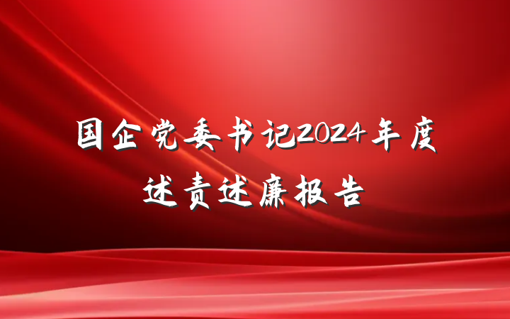 国企党委书记2024年度述责述廉报告