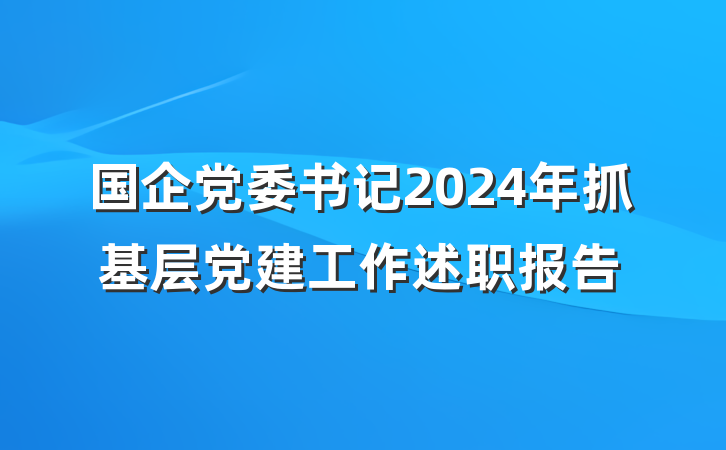 国企党委书记2024年抓基层党建工作述职报告