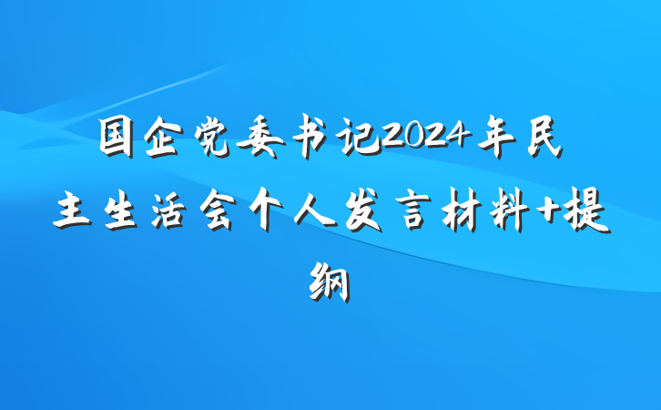 国企党委书记2024年民主生活会个人发言材料 提纲