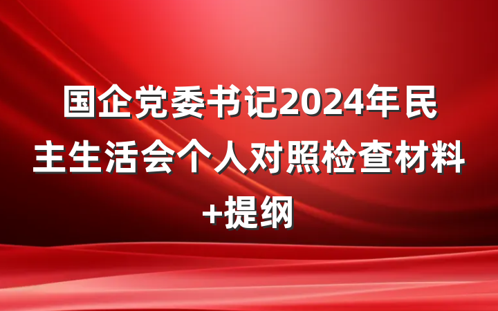 国企党委书记2024年民主生活会个人对照检查材料 提纲