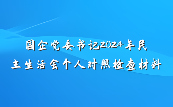 国企党委书记2024年民主生活会个人对照检查材料