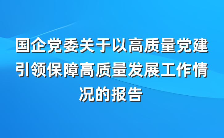 国企党委关于以高质量党建引领保障高质量发展工作情况的报告