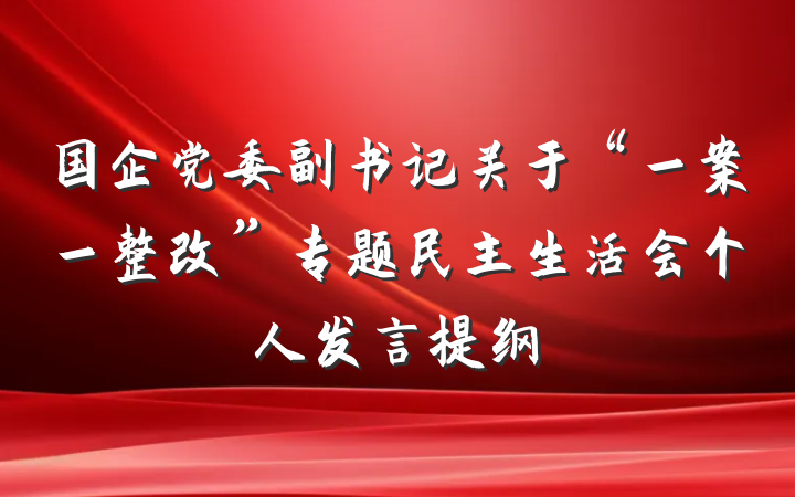 国企党委副书记关于“一案一整改”专题民主生活会个人发言提纲