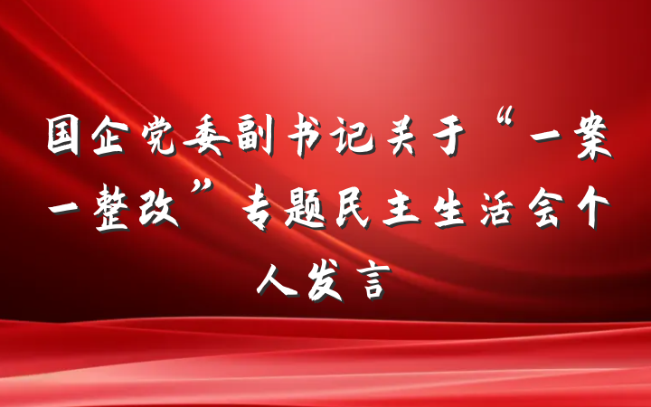 国企党委副书记关于“一案一整改”专题民主生活会个人发言