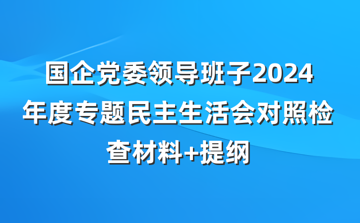 国企党委领导班子2024年度专题民主生活会对照检查材料 提纲