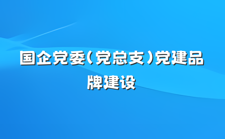 国企党委（党总支）党建品牌建设