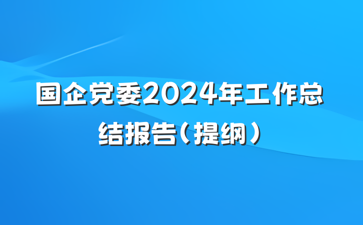 国企党委2024年工作总结报告（提纲）