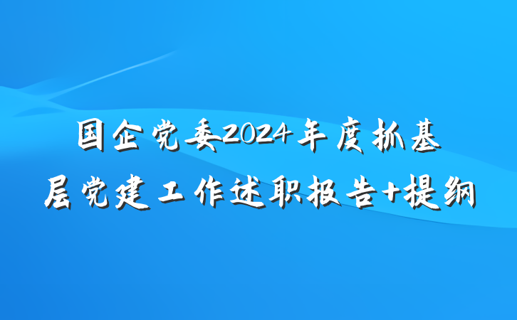 国企党委2024年度抓基层党建工作述职报告 提纲
