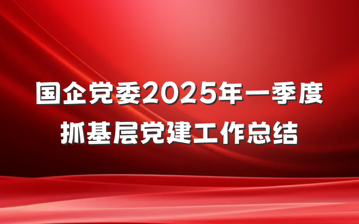 国企党委2025年一季度抓基层党建工作总结