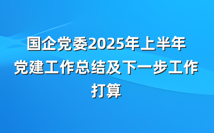 国企党委2025年上半年党建工作总结及下一步工作打算