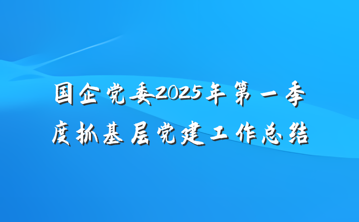 国企党委2025年第一季度抓基层党建工作总结