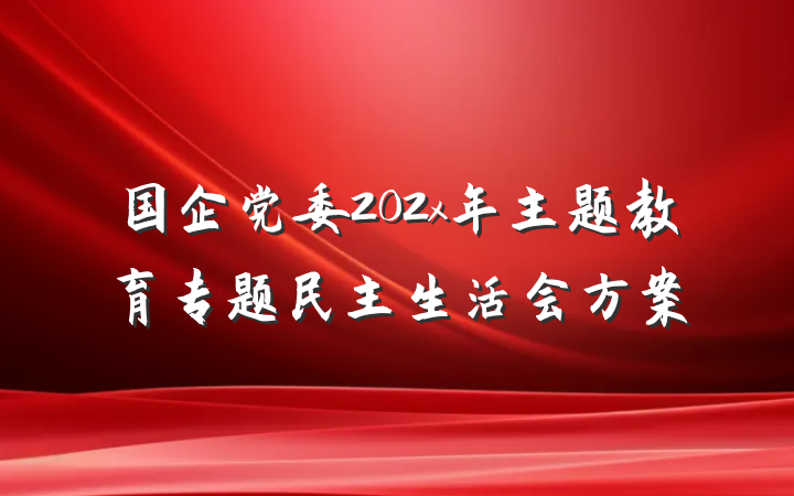 国企党委202x年主题教育专题民主生活会方案