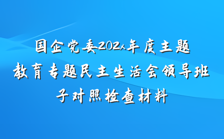 国企党委202x年度主题教育专题民主生活会领导班子对照检查材料