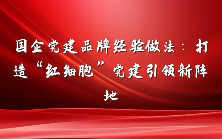 国企党建品牌经验做法：打造“红细胞”党建引领新阵地