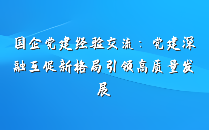 国企党建经验交流：党建深融互促新格局引领高质量发展