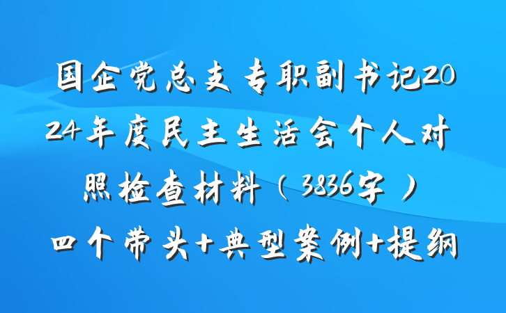 国企党总支专职副书记2024年度民主生活会个人对照检查材料（3836字）四个带头 典型案例 提纲