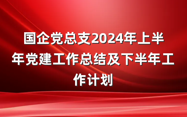 国企党总支2024年上半年党建工作总结及下半年工作计划