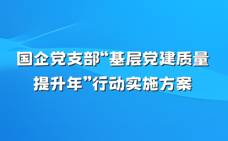 国企党支部“基层党建质量提升年”行动实施方案