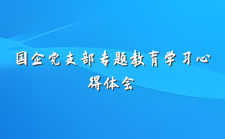 国企党支部专题教育学习心得体会