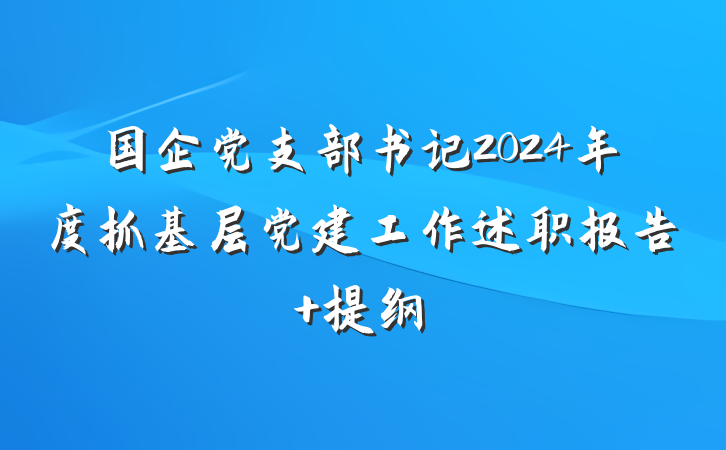 国企党支部书记2024年度抓基层党建工作述职报告 提纲