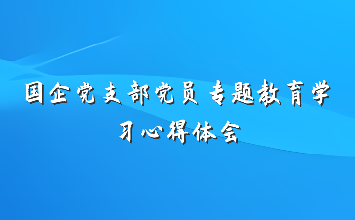 国企党支部党员专题教育学习心得体会