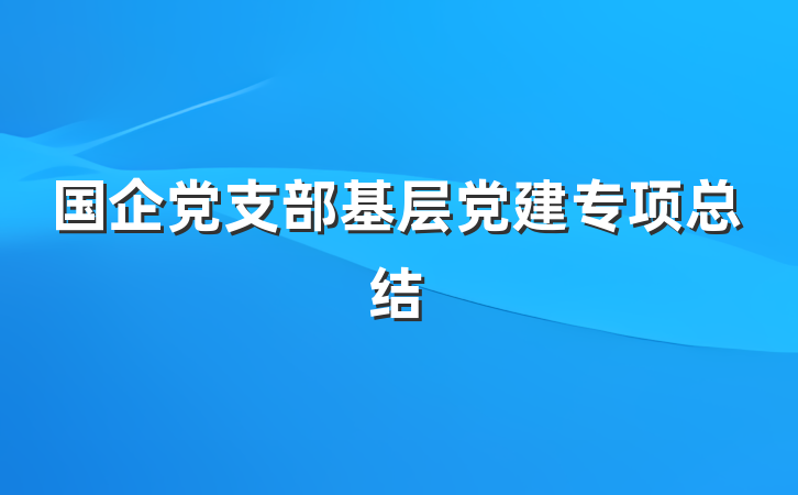 国企党支部基层党建专项总结