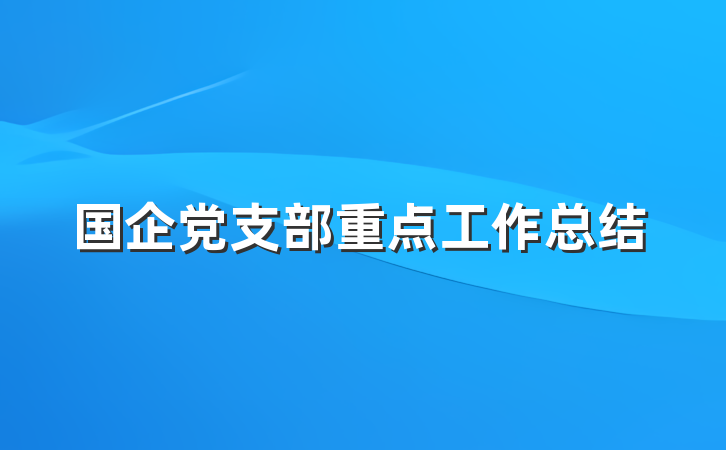国企党支部重点工作总结