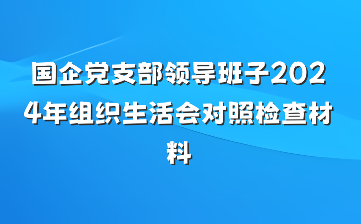 国企党支部领导班子2024年组织生活会对照检查材料