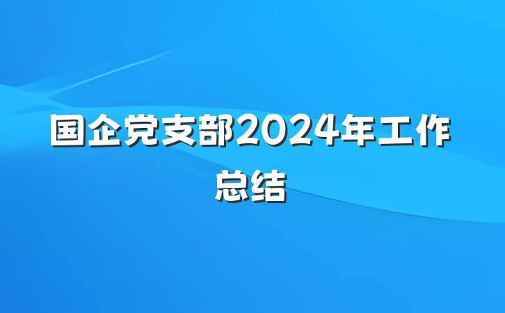 国企党支部2024年工作总结