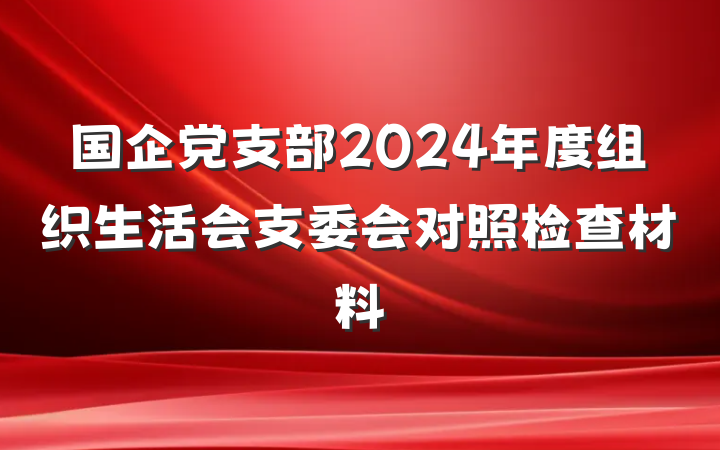 国企党支部2024年度组织生活会支委会对照检查材料