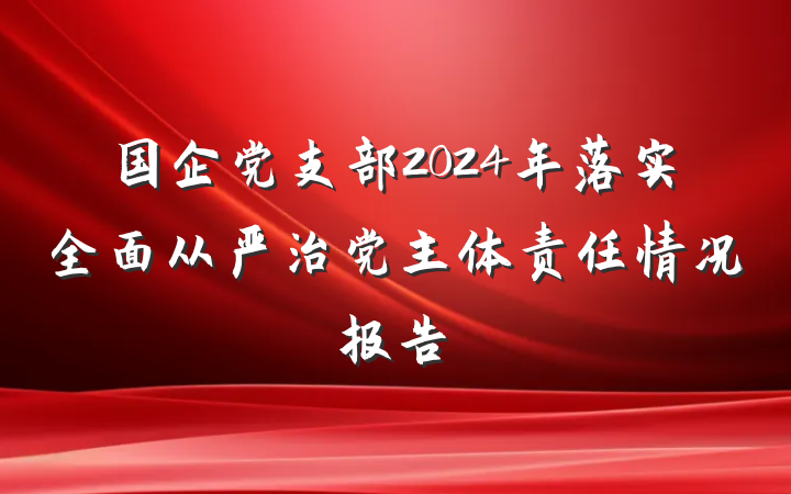 国企党支部2024年落实全面从严治党主体责任情况报告