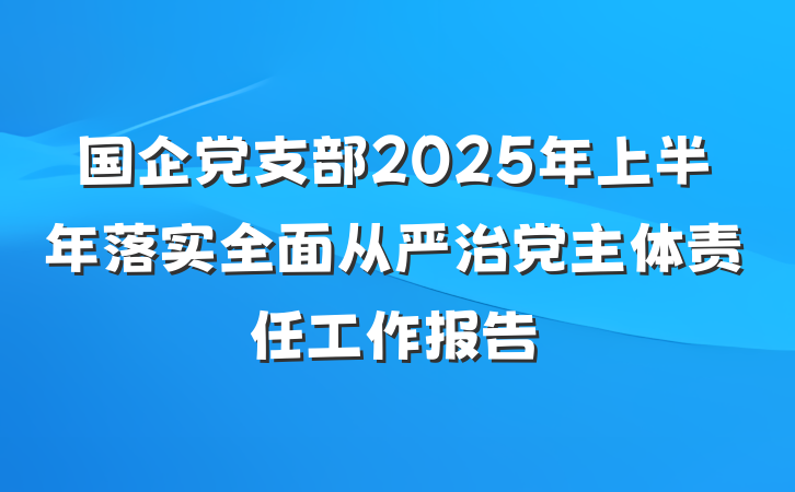 国企党支部2025年上半年落实全面从严治党主体责任工作报告
