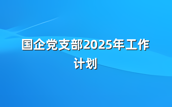 国企党支部2025年工作计划
