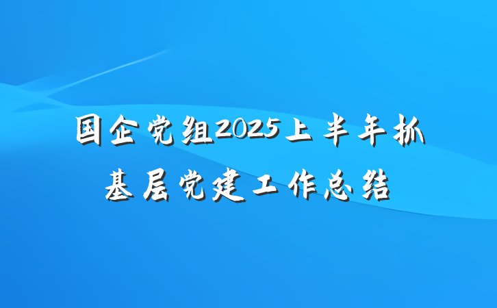国企党组2025上半年抓基层党建工作总结