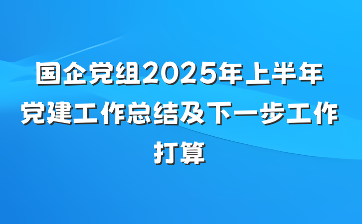 国企党组2025年上半年党建工作总结及下一步工作打算