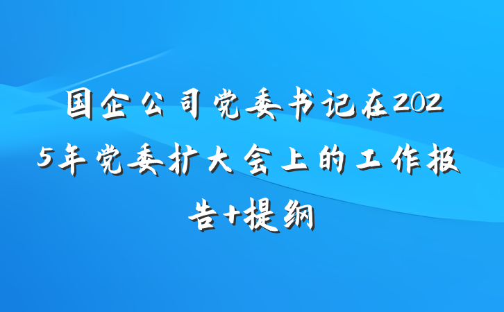 国企公司党委书记在2025年党委扩大会上的工作报告 提纲