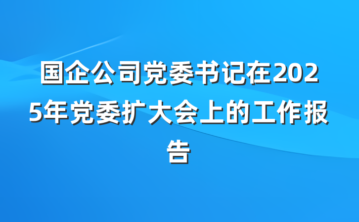 国企公司党委书记在2025年党委扩大会上的工作报告