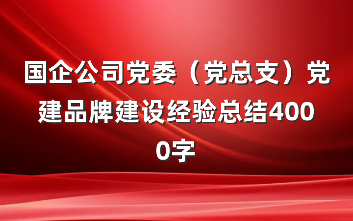 国企公司党委（党总支）党建品牌建设经验总结4000字