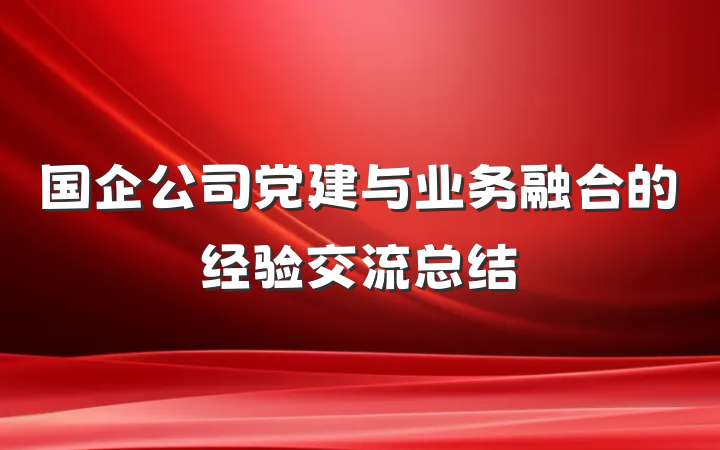 国企公司党建与业务融合的经验交流总结