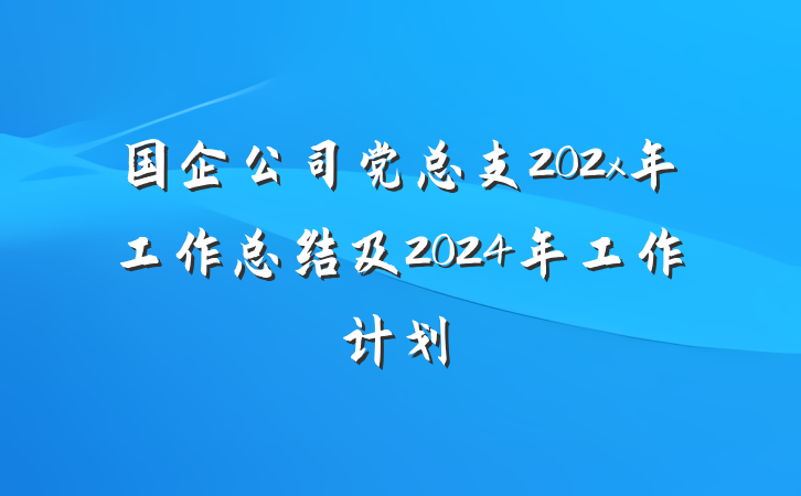 国企公司党总支202x年工作总结及2024年工作计划